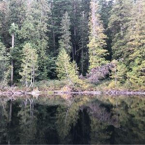 Meet your Posher, Ally